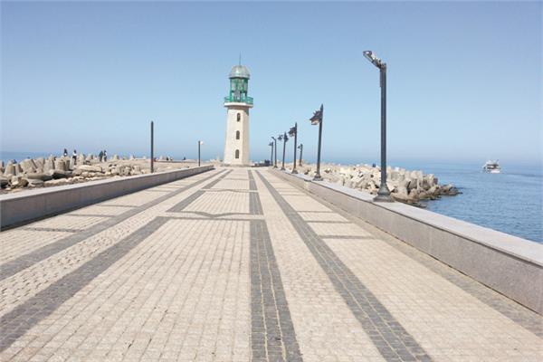 اللسان براس البر